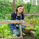 Woman in garden, in small greenhouse, cutting salad, arugula herbs